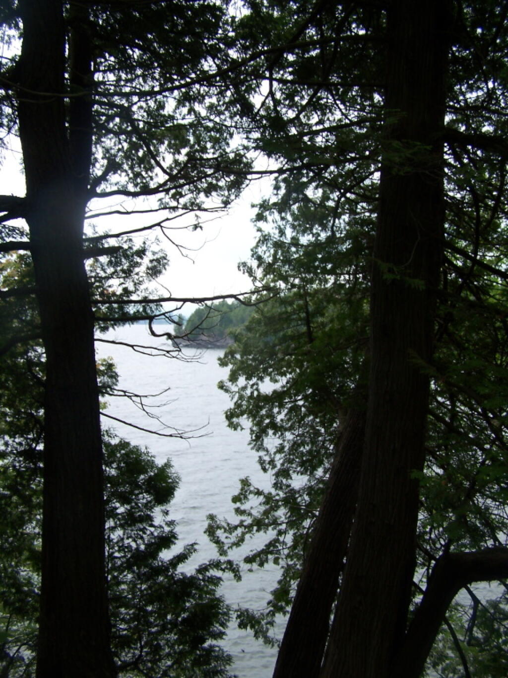 Photo: Peaking Through the Trees