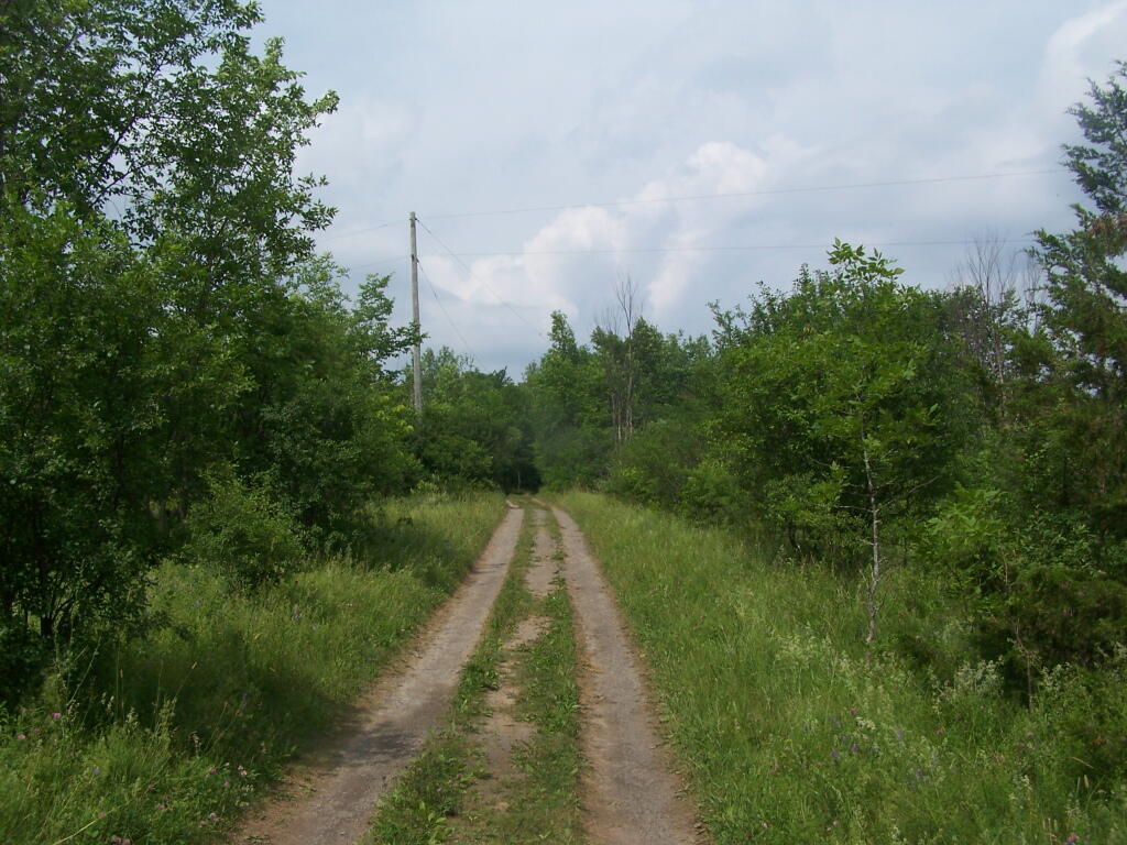 Photo: Eastern Loop Road