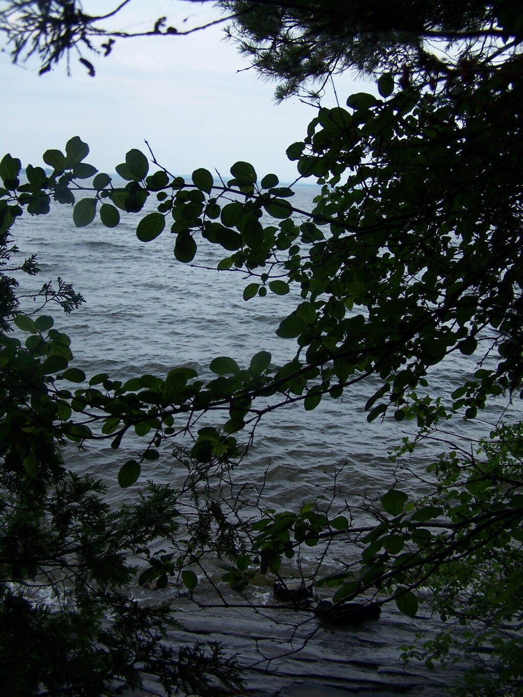 Photo: Lake Thru the Trees