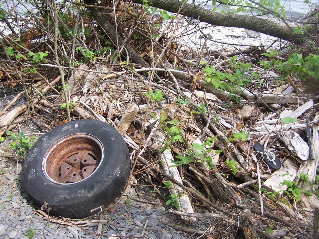 Photo: Washed Up Debris on Rams Head