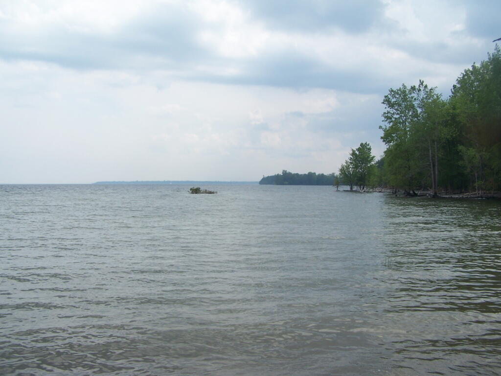 Photo: Towards Long Point