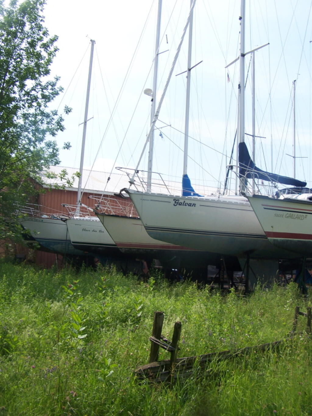 Photo: Moodys Bay Marina