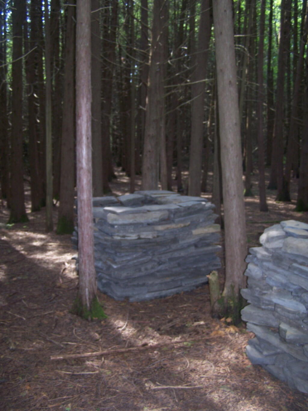 Photo: What Are These Stone Things in Woods?