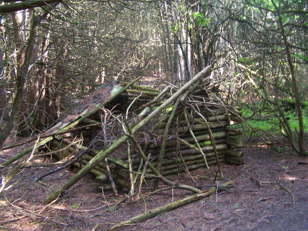 Photo: Abandoned Lean-To