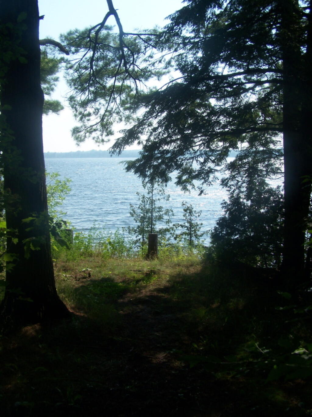 Photo: Along Edge of Short Point