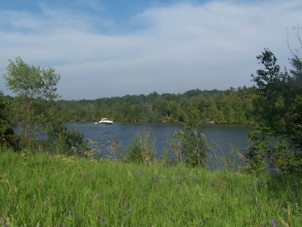 Photo: Boat Leaving Boat Dock