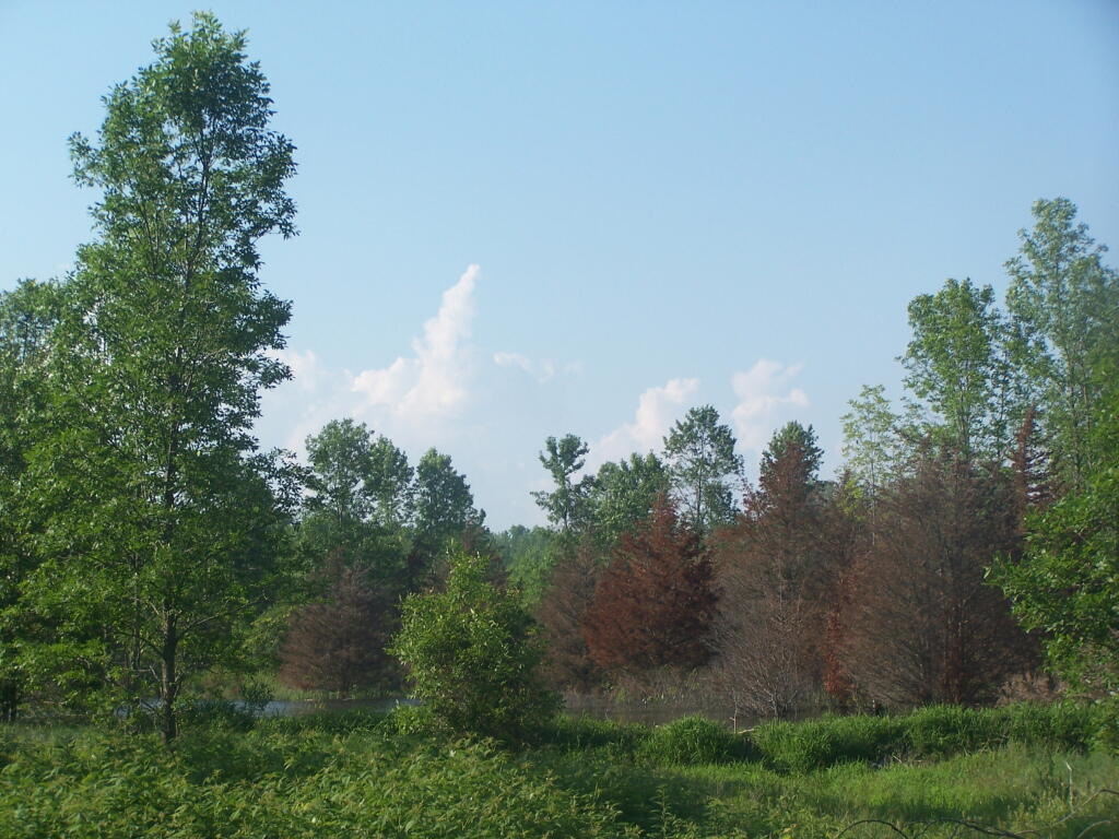 Photo: Just a Hazy Summer Afternoon