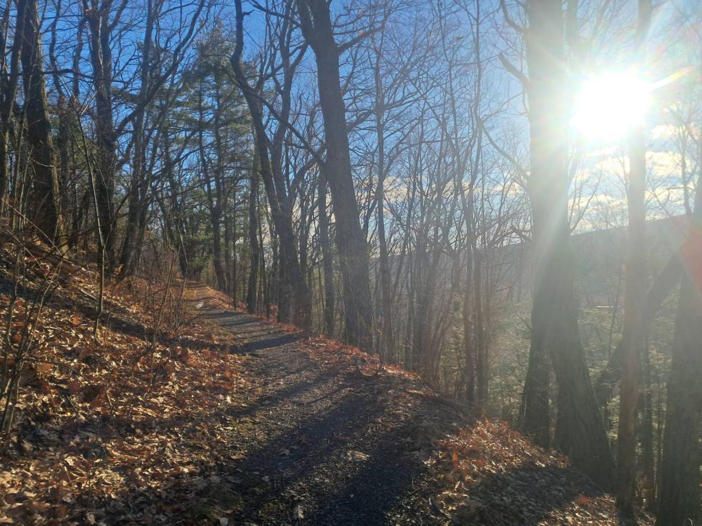 Photo: Trail