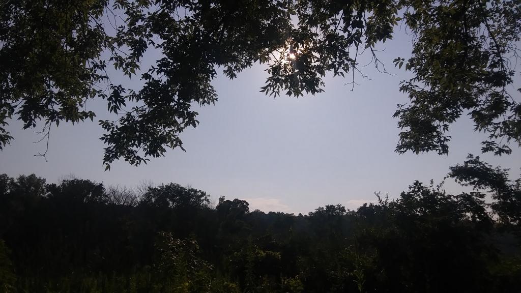 Photo: Hot evening walking along the Catharine Creek Marsh
