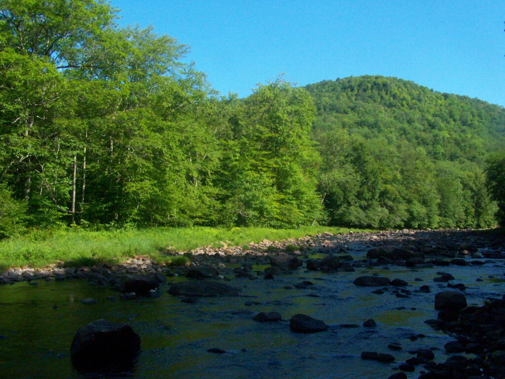 Photo: Stoney Creek