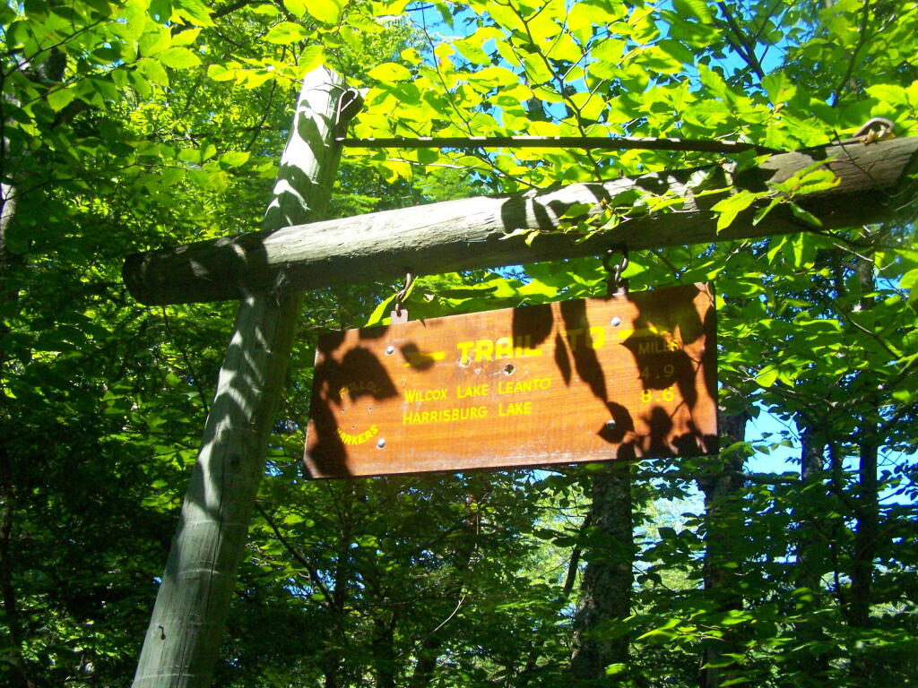 Photo: Wilcox Lake Trailhead