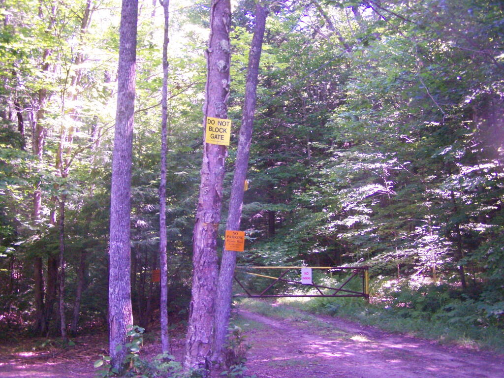 Photo: End of Hope Falls Road