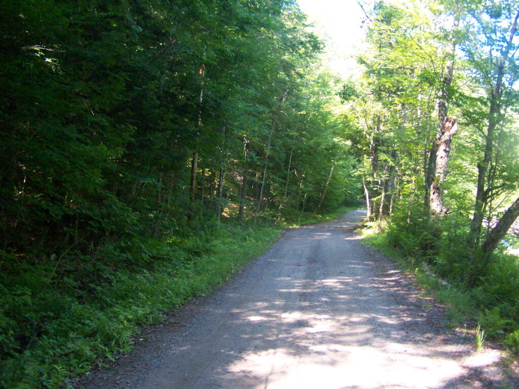 Photo: Hope Falls Road