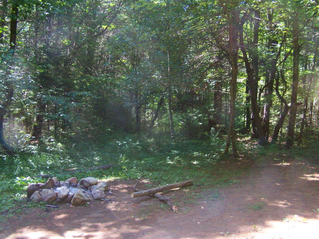 Photo: Campsite on Pumpkin Hollow Road