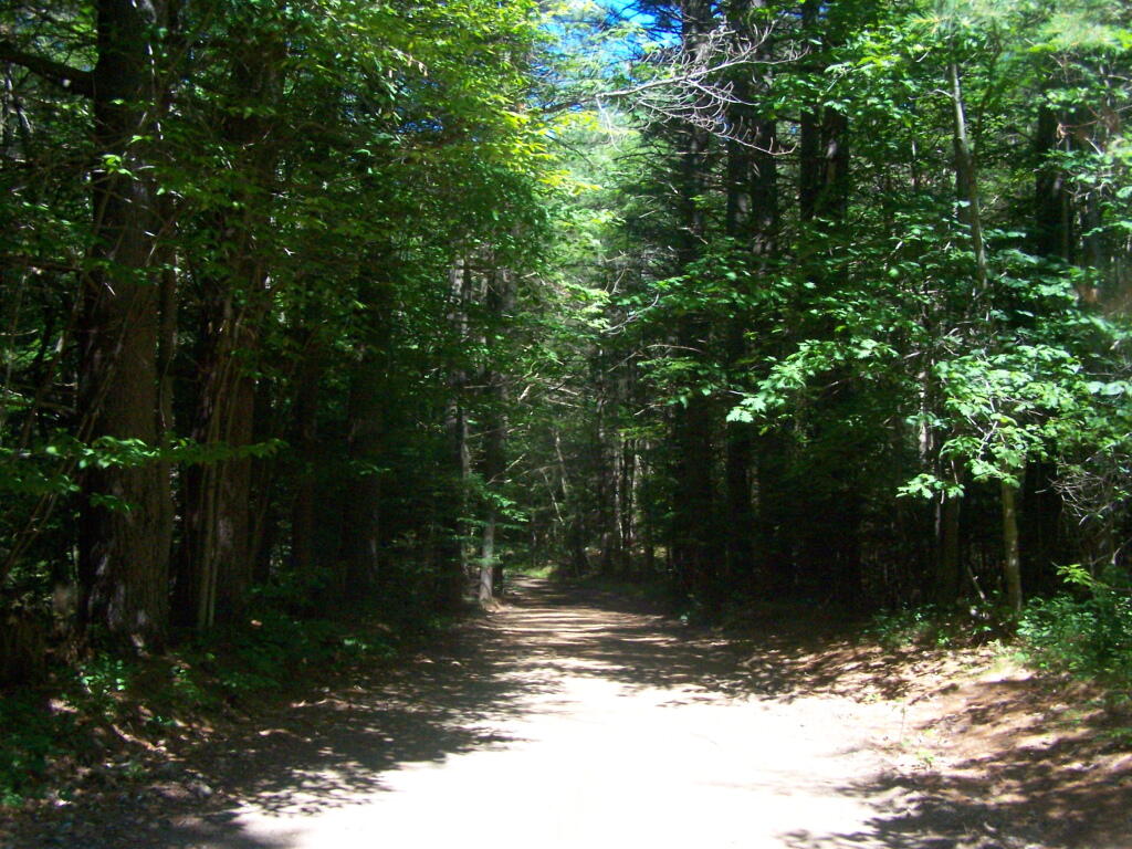 Photo: Pumpkin Hollow Road