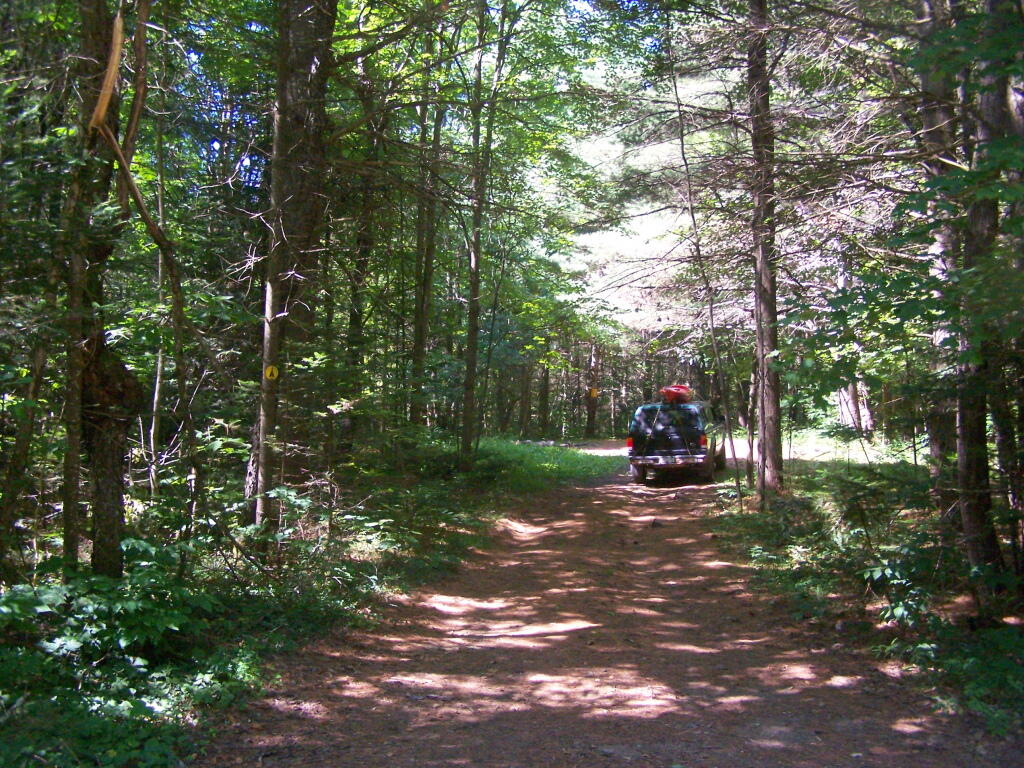 Photo: Another Campsite on Pumpkin Hollow Rd