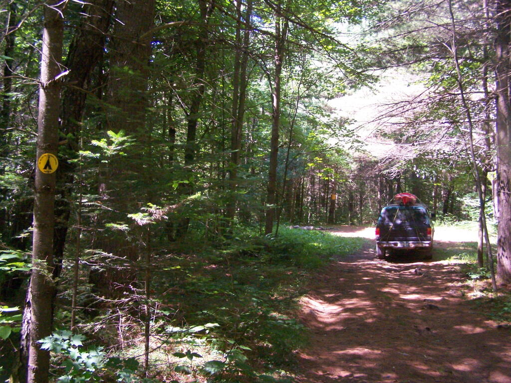 Photo: Designated Campsite