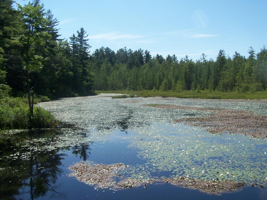 Photo: Willis Lake