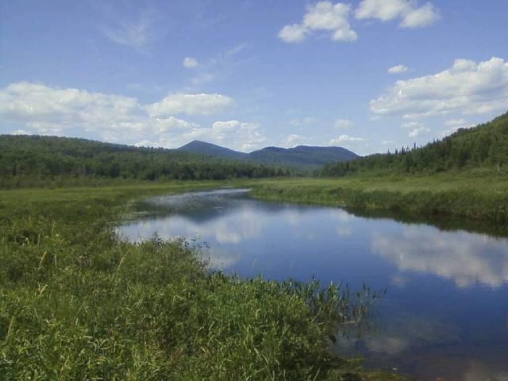 Photo: Elm Lake Outlet
