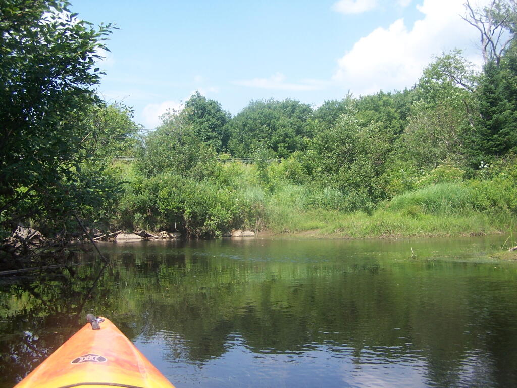 Photo: Along NY 10