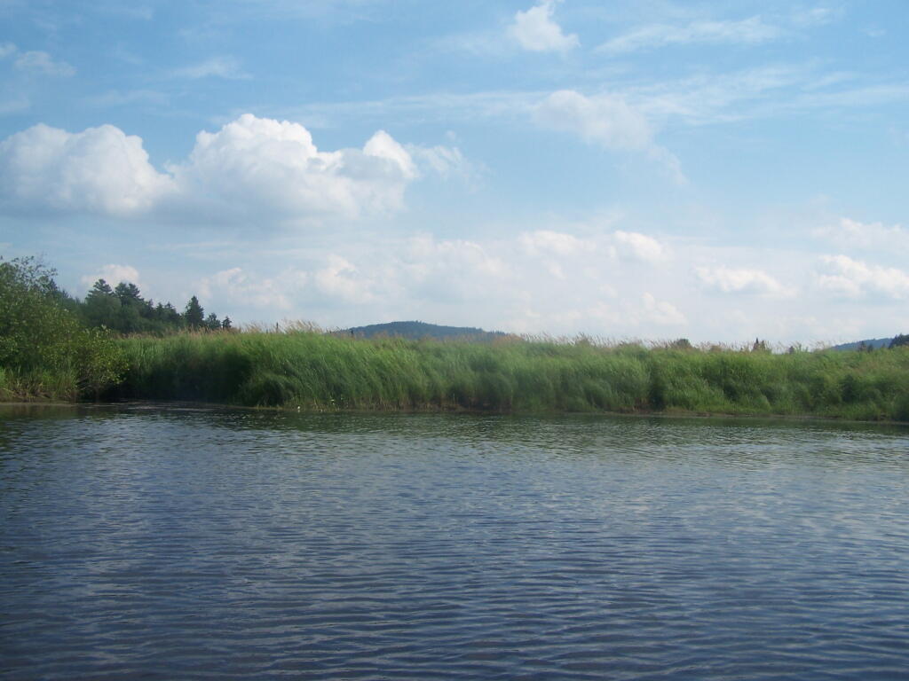 Photo: Good Luck Mountain from Outlet of Chub Lake