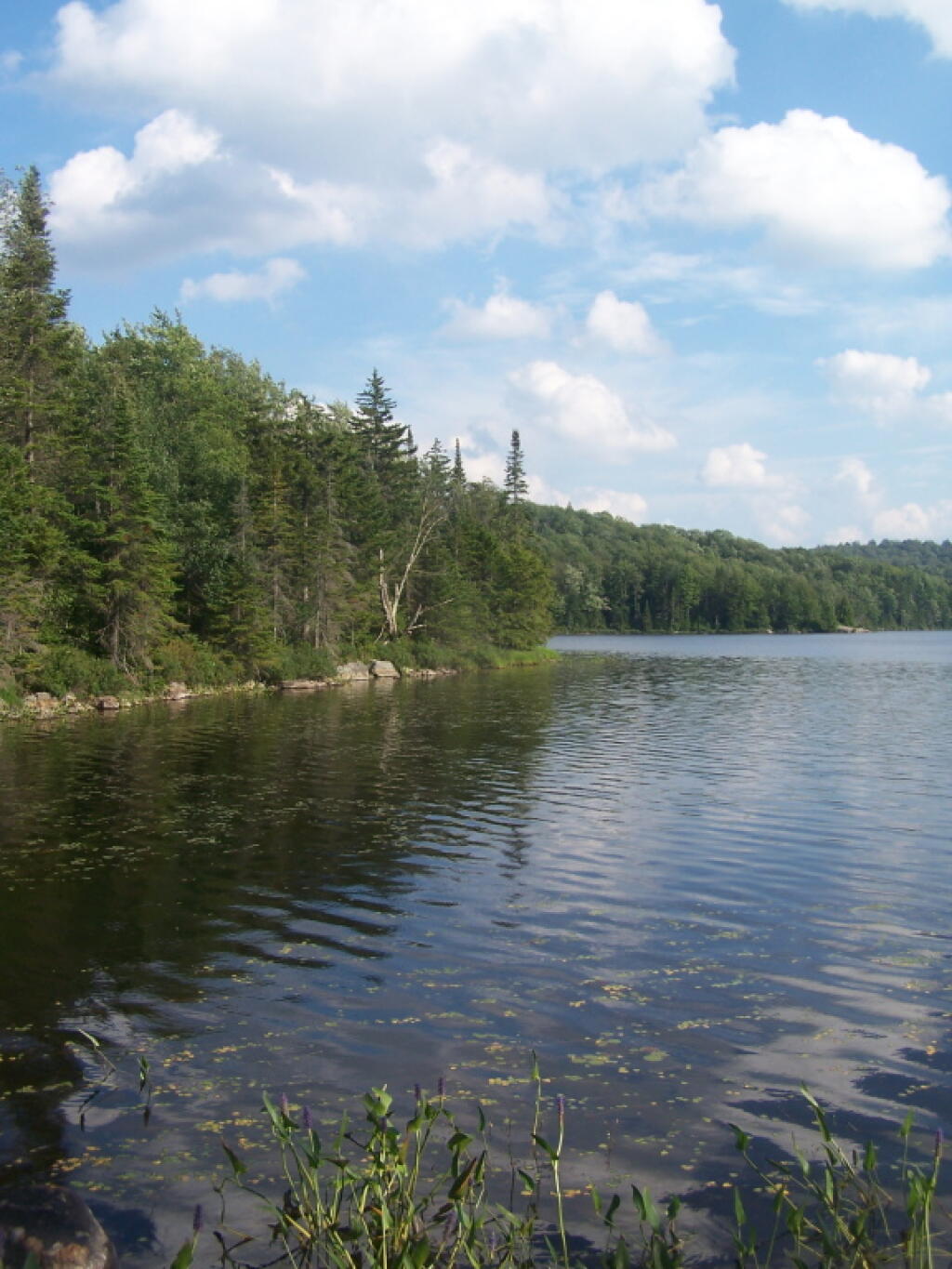 Photo: Sand Lake