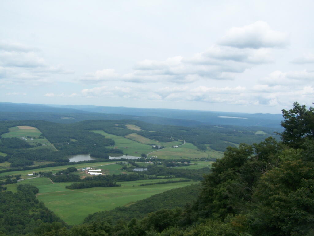 Photo: North East