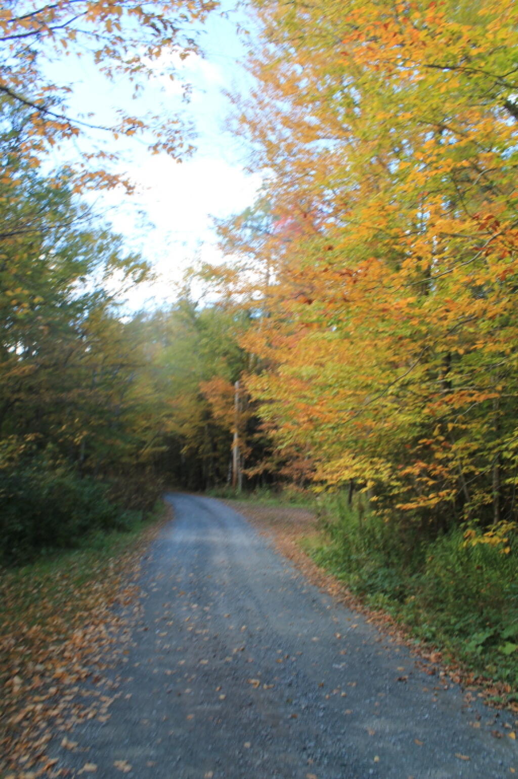 Photo: Big Hollow Road Starting Out
