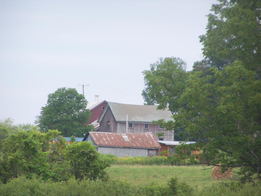 Photo: Barn Along NY 41