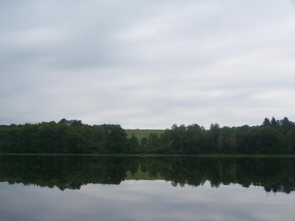 Photo: North on Pond