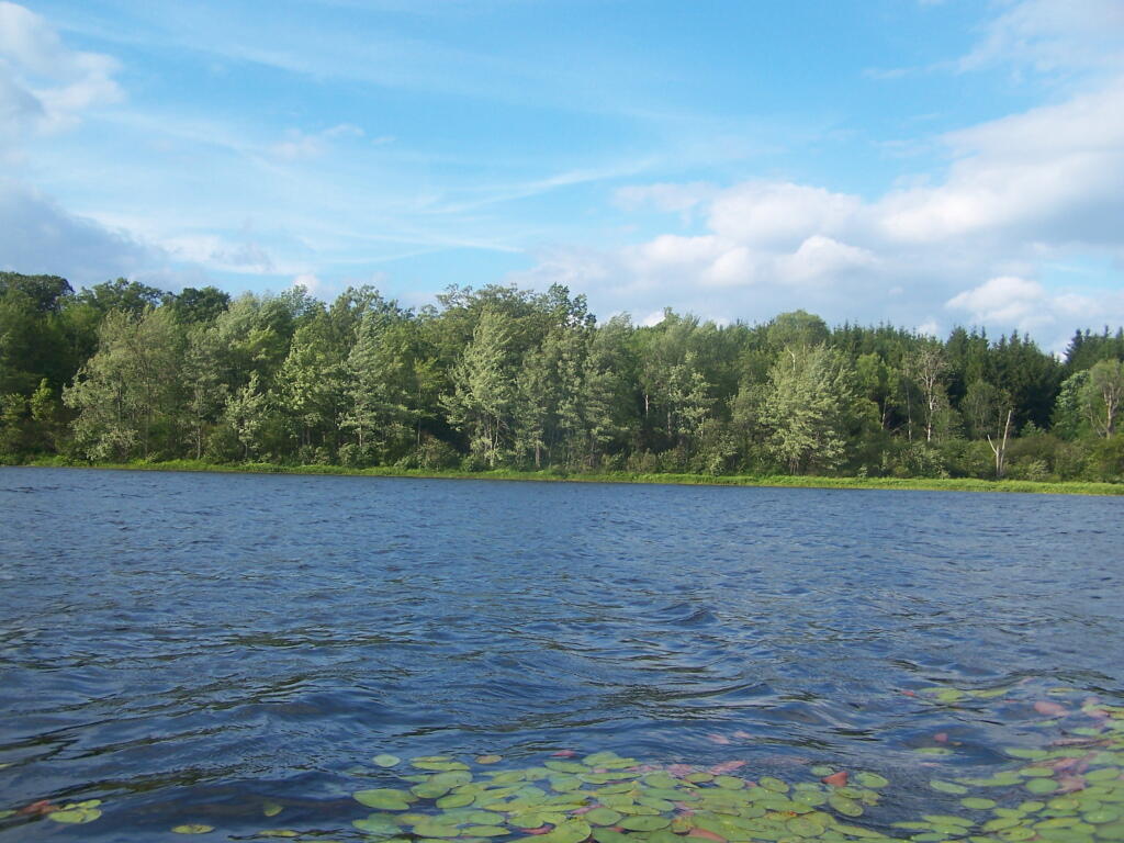 Photo: Blue Skies