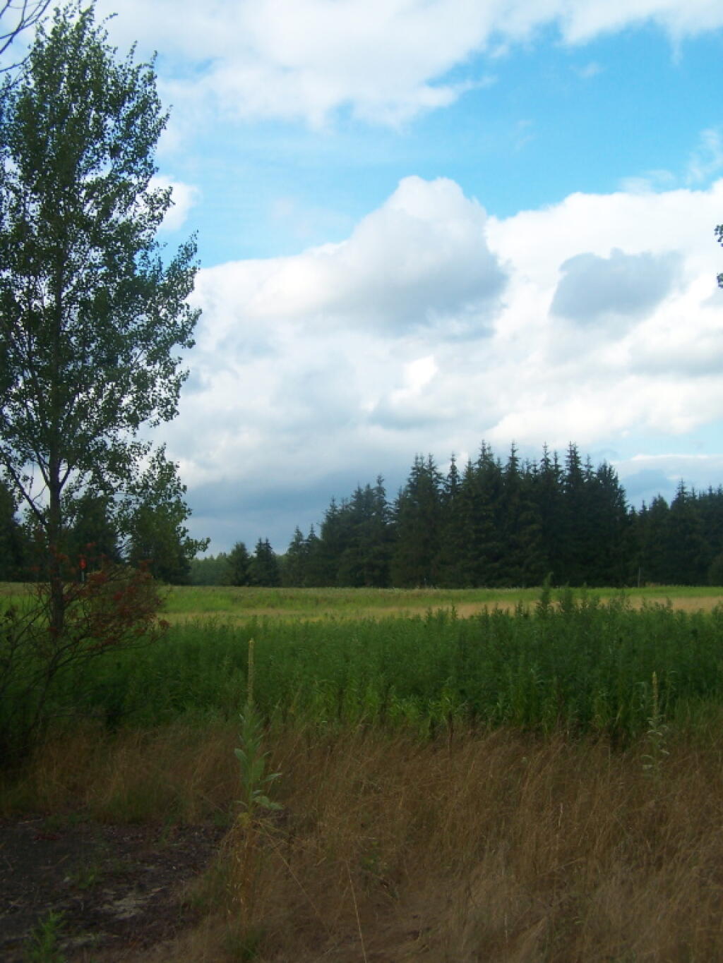Photo: Fields