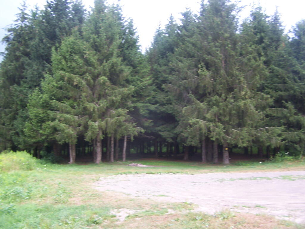 Photo: Campsite 7