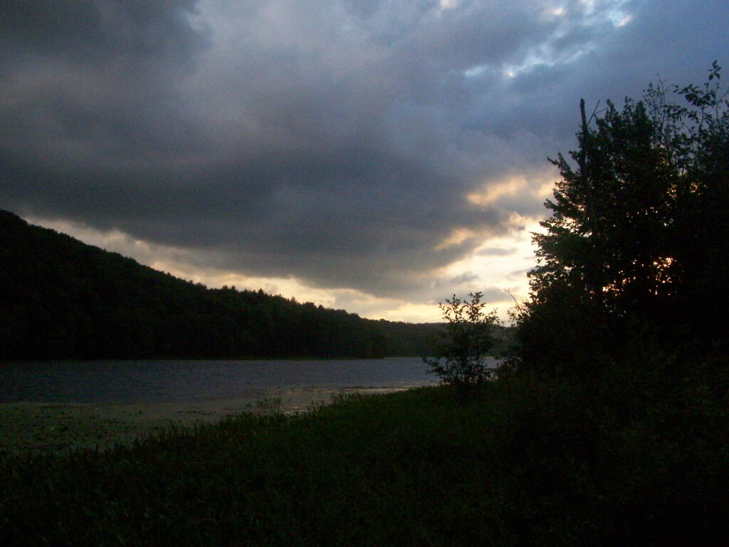 Photo: Evening Sun Peaking Out