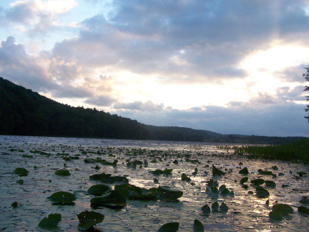 Photo: Evening