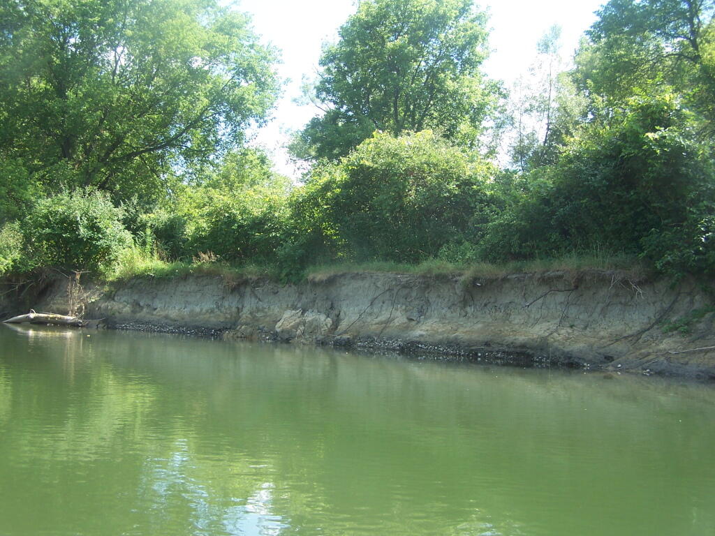 Photo: Muddy River Bank