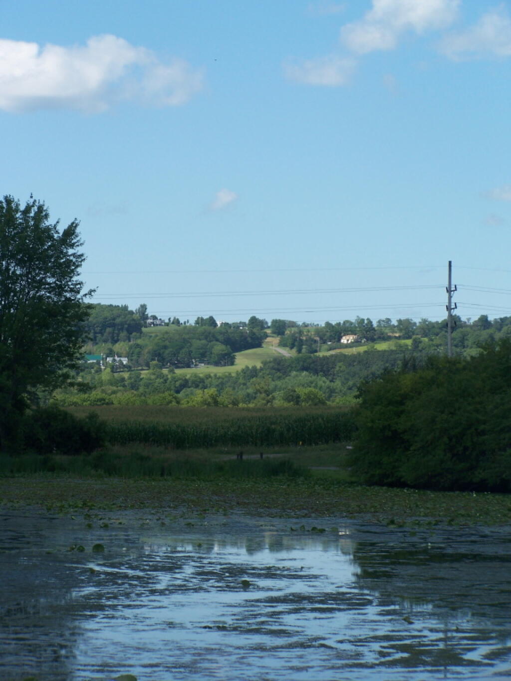 Photo: Pond