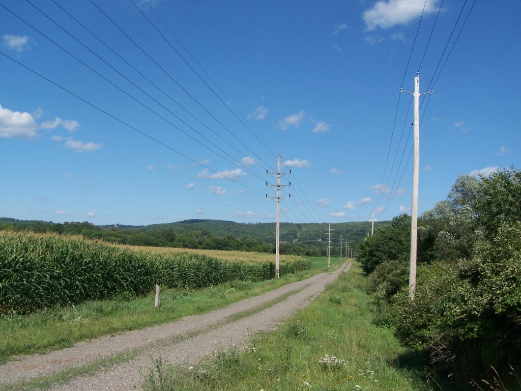 Photo: Farm Road