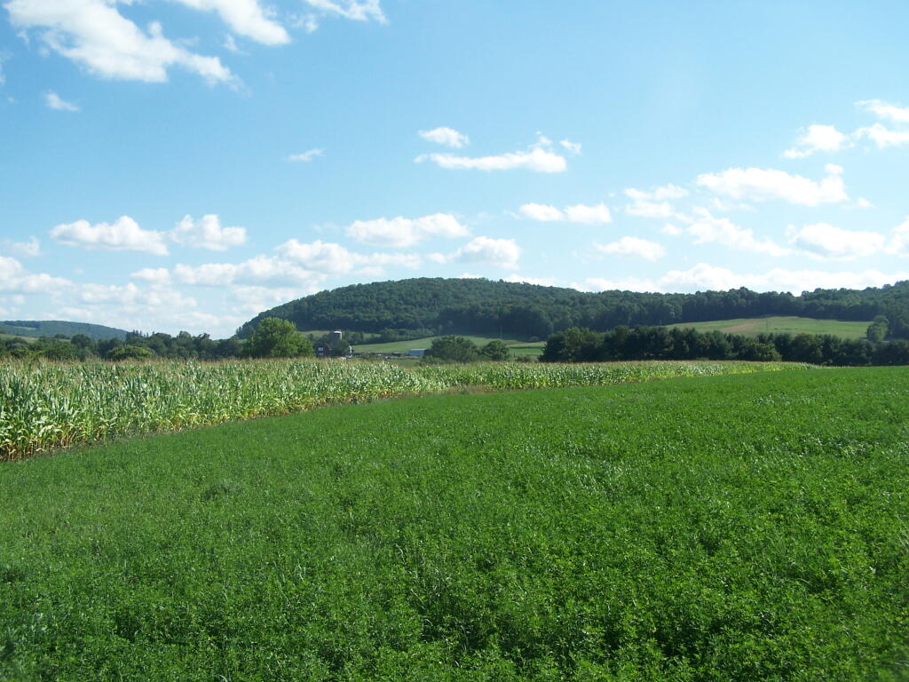 Photo: Farm Tower Trail