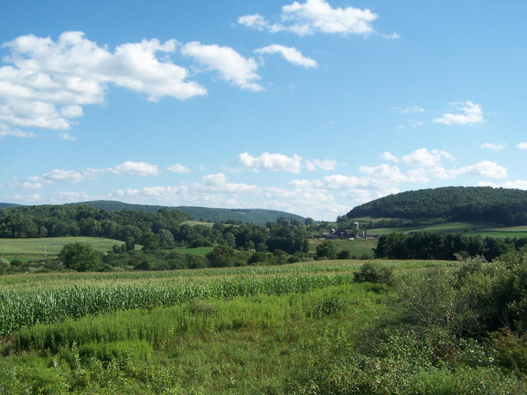 Photo: South East from Farm Tower.