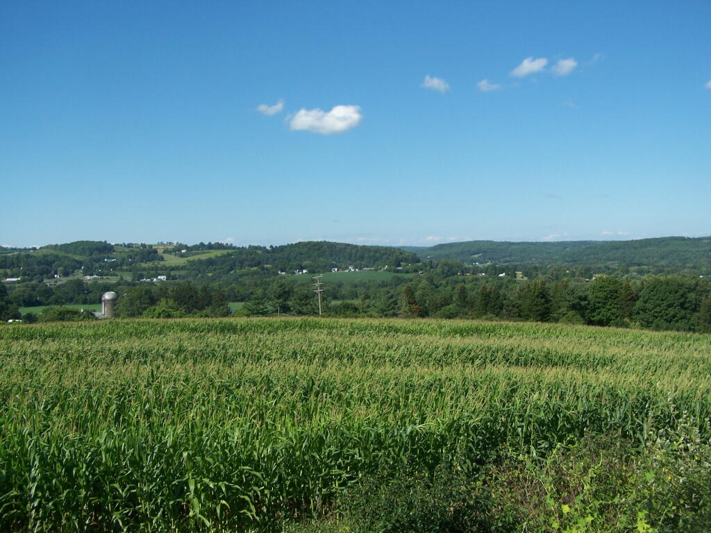 Photo: North from Farm Tower