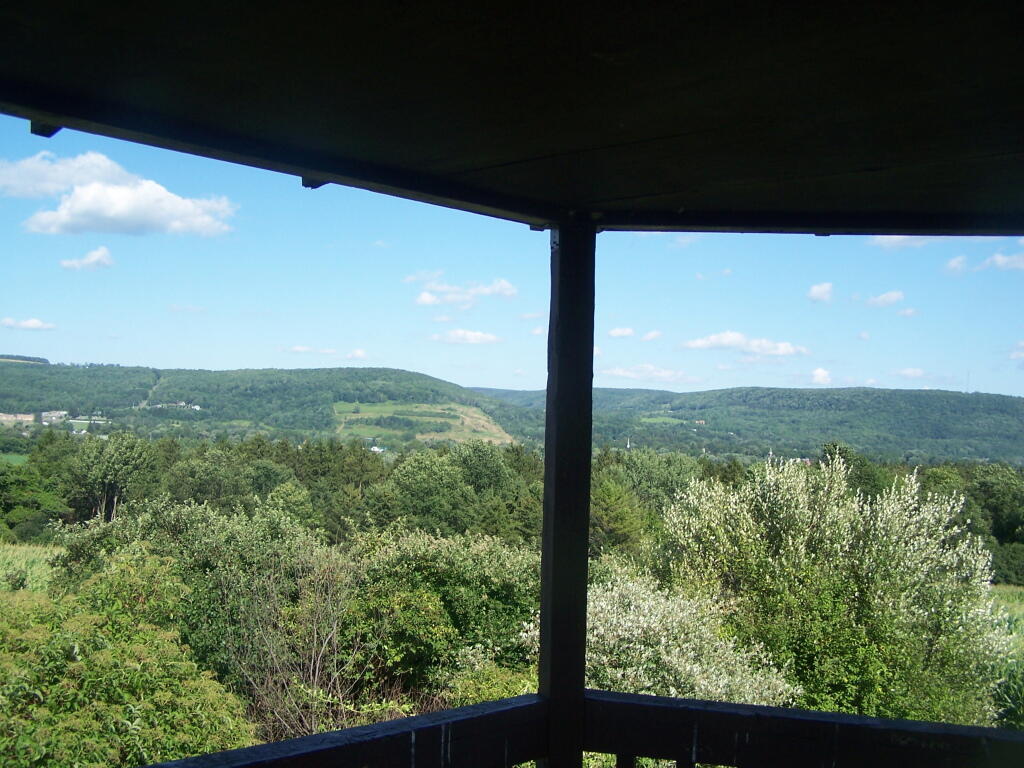 Photo: Looking Out Farm Tower Windows