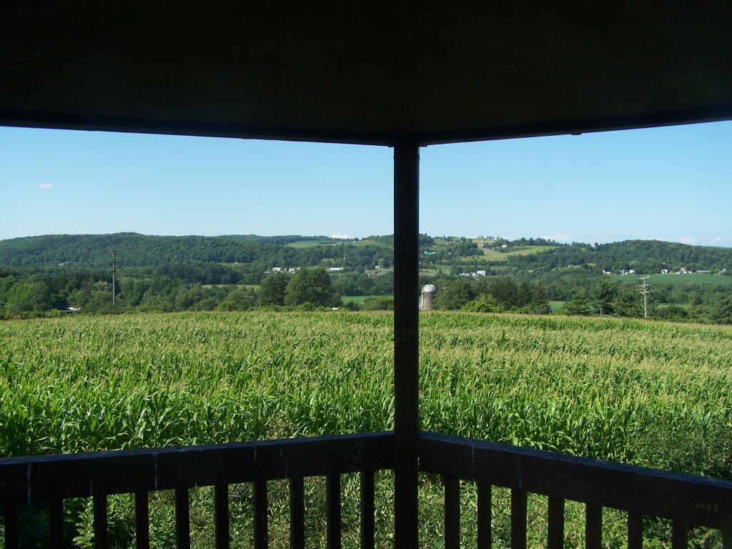 Photo: West from Farm Tower
