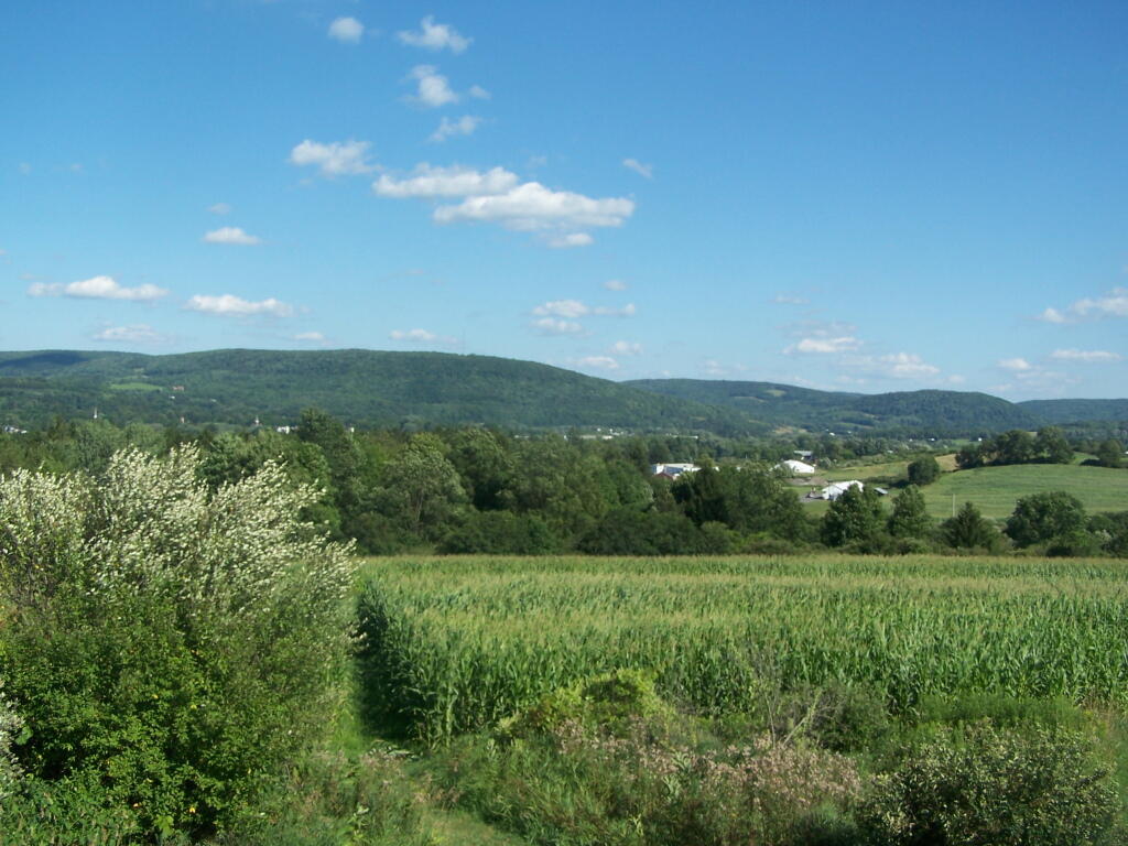 Photo: North