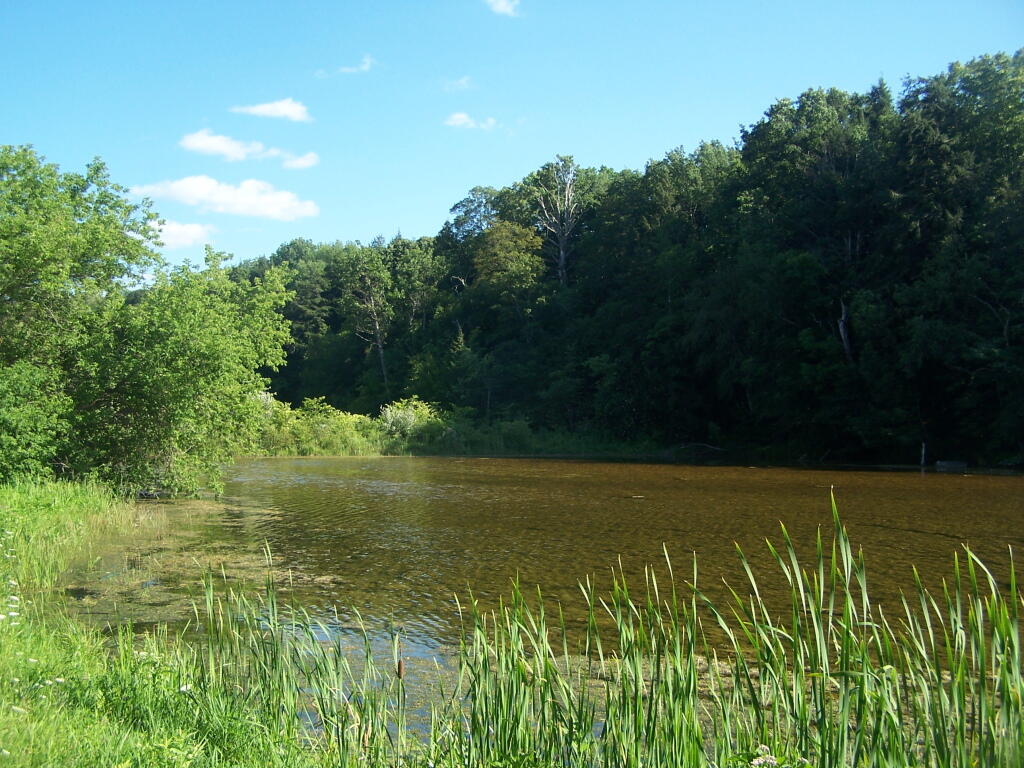 Photo: Chenango River