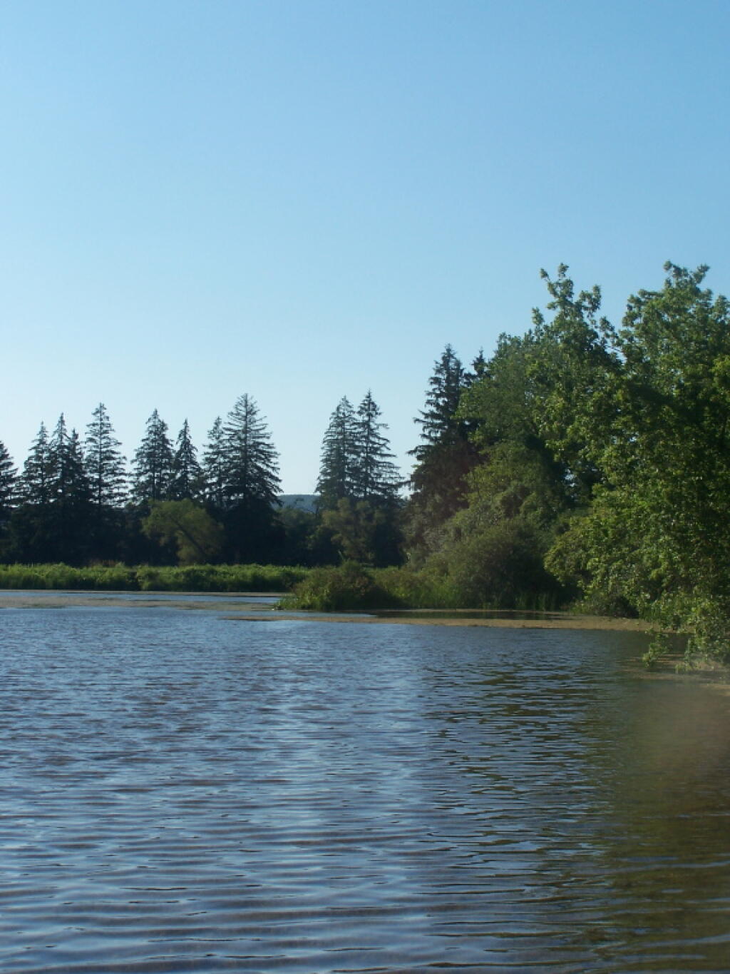Photo: Game Ponds