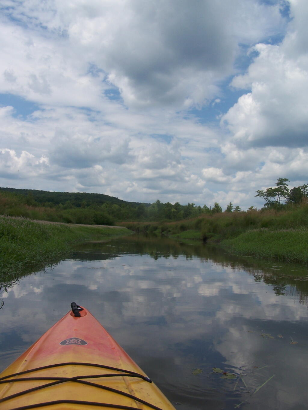 Photo: Hudson River looks nice and brown