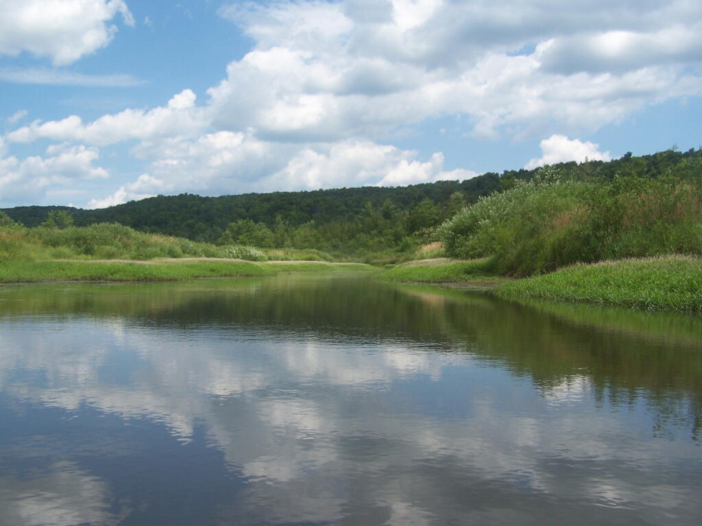 Photo: More Open Section of Beaver Creek