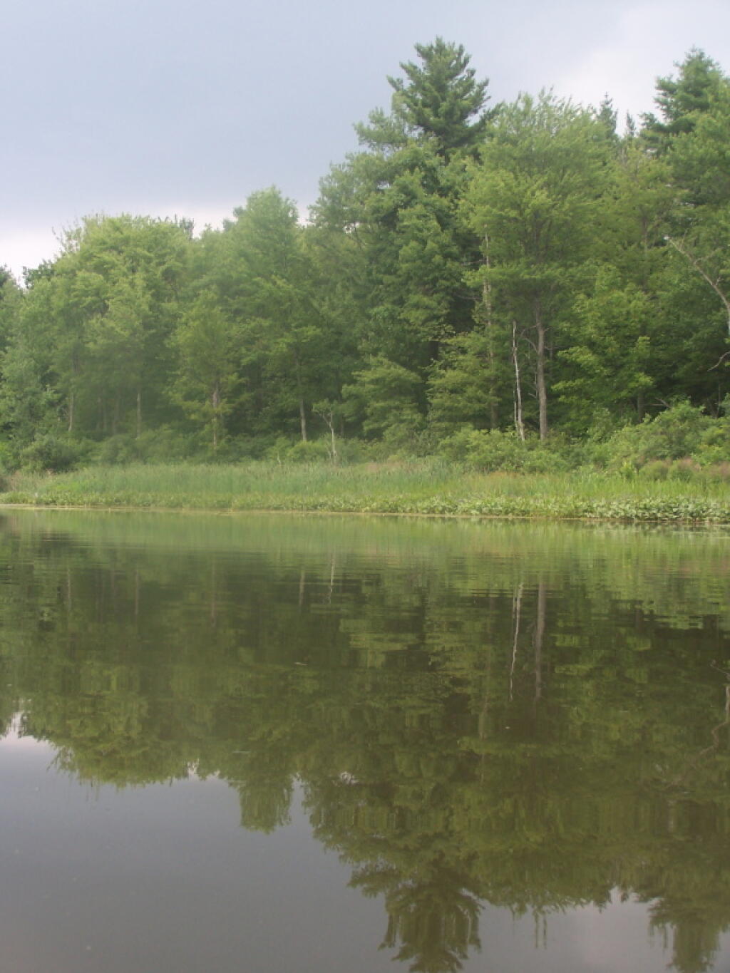 Photo: Reflections
