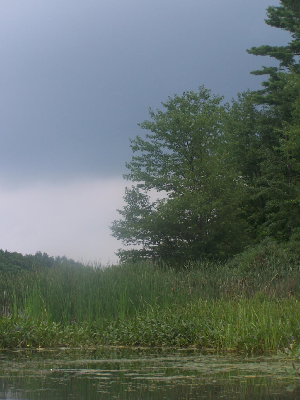 Photo: Clouds Hanging Low